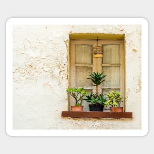 Window with flower garden and bird cage Sticker